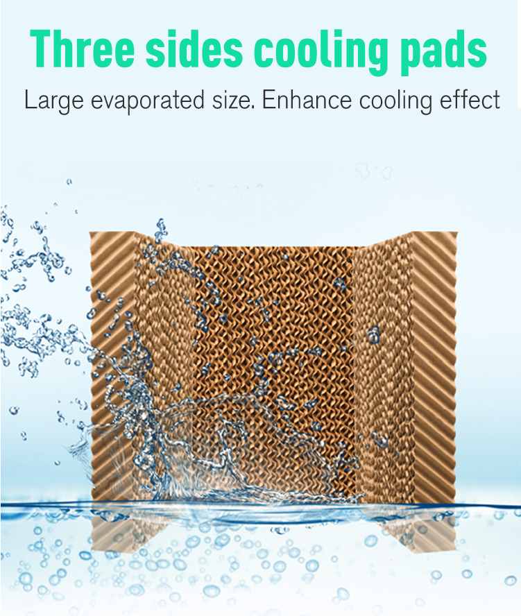 6933c9e73d3d3.jpg Q8 英-3.jpg