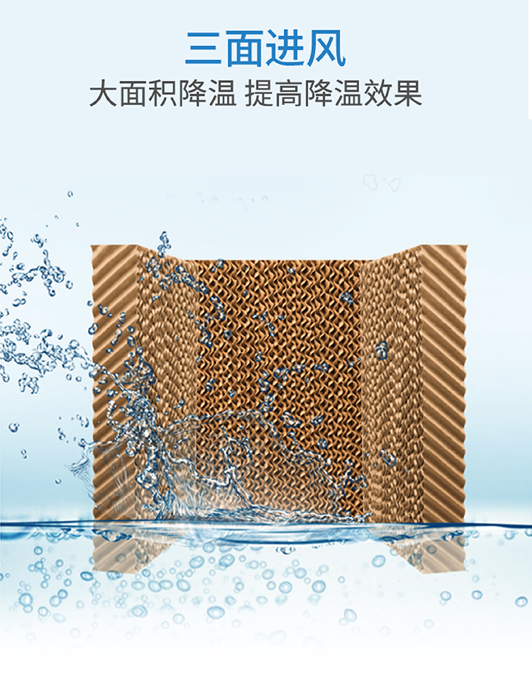 V9AB 内页_画板 1 副本 4.jpg